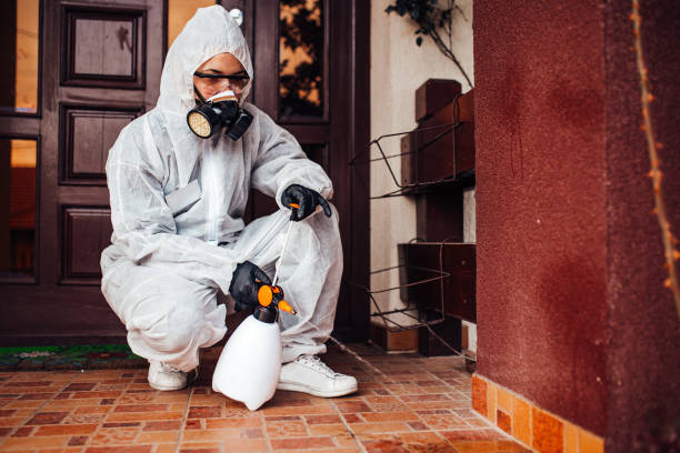Reliable Bed Bug Control contractor in Thermalito, CA by Nex Pest Control